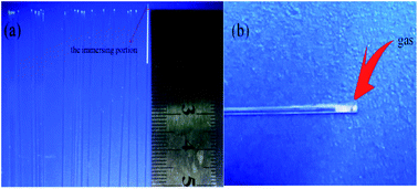 Graphical abstract: Preparation and mechanism analysis of high performance ceramic membrane by spray coating