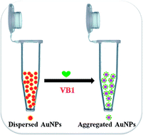 Graphical abstract: Rapid and visual readout of vitamin B1 based on the electrostatic interaction induced aggregation of gold nanoparticles