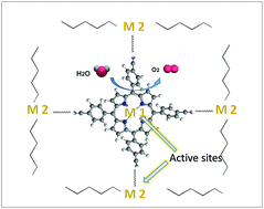 Graphical abstract: Comparison of two water oxidation electrocatalysts by copper or zinc supermolecule complexes based on porphyrin ligand
