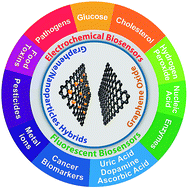 Graphical abstract: A review on graphene-based nanocomposites for electrochemical and fluorescent biosensors