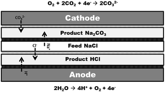 Graphical abstract: Conversion of saline waste-water and gaseous carbon dioxide to (bi)carbonate salts, hydrochloric acid and desalinated water for on-site industrial utilization