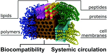 Graphical abstract: Approaches to improve the biocompatibility and systemic circulation of inorganic porous nanoparticles