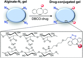 Graphical abstract: Clickable, acid labile immunosuppressive prodrugs for in vivo targeting