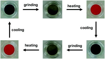 Graphical abstract: A reversibly mechanochromic conjugated polymer