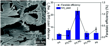 Graphical abstract: Hierarchical nanoporous Pd1Ag1 alloy enables efficient electrocatalytic nitrogen reduction under ambient conditions