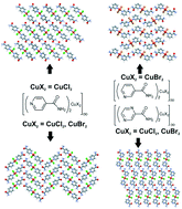 Graphical abstract: Halide-bi-bridged polymers of amide substituted pyridines and -pyrazines: polymorphism, structures, thermal stability and magnetism