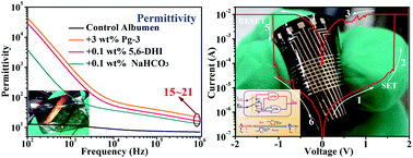 Graphical abstract: Artificial and wearable albumen protein memristor arrays with integrated memory logic gate functionality