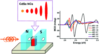 Graphical abstract: Detecting electronic structure evolution of semiconductor nanocrystals by magnetic circular dichroism spectroscopy