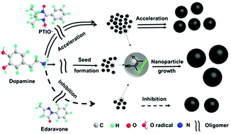 Graphical abstract: Size control synthesis of melanin-like polydopamine nanoparticles by tuning radicals