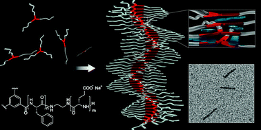 Graphical abstract: The generation of stabilized supramolecular nanorods from star-shaped polyglutamates