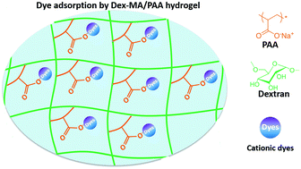 Graphical abstract: Preparation of a poly(acrylic acid) based hydrogel with fast adsorption rate and high adsorption capacity for the removal of cationic dyes