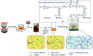 Graphical abstract: Fabrication of thermo-sensitive lignocellulose hydrogels with switchable hydrophilicity and hydrophobicity through an SIPN strategy