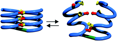 Graphical abstract: Interplay of secondary and tertiary folding in abiotic foldamers