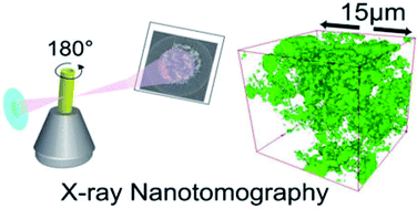 Graphical abstract: Visualizing percolation and ion transport in hybrid solid electrolytes for Li–metal batteries