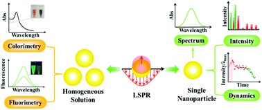 Graphical abstract: Recent advances of plasmonic nanoparticle-based optical analysis in homogeneous solution and at the single-nanoparticle level