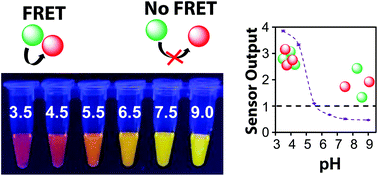 Graphical abstract: Quantum dot to quantum dot Förster resonance energy transfer: engineering materials for visual color change sensing