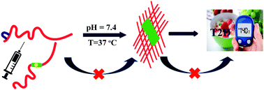 Graphical abstract: Site-specific single point mutation by anthranilic acid in hIAPP8–37 enhances anti-amyloidogenic activity