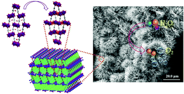 Graphical abstract: Structural evolution from a fence-like to pillared-layer metal–organic framework for the stable oxygen evolution reaction