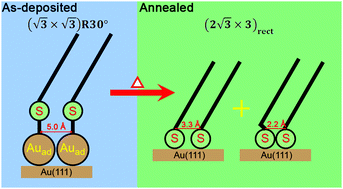 Graphical abstract: Structures of self-assembled n-alkanethiols on gold by reflection high-energy electron diffraction