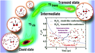Graphical abstract: Conformational dynamics of aqueous hydrogen peroxide from first principles molecular dynamics simulations