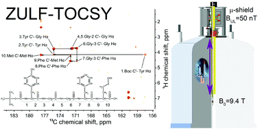 Graphical abstract: Sequential assignment of NMR spectra of peptides at natural isotopic abundance with zero- and ultra-low-field total correlation spectroscopy (ZULF-TOCSY)
