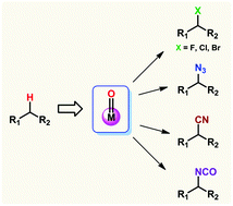 Graphical abstract: Direct C–H bond halogenation and pseudohalogenation of hydrocarbons mediated by high-valent 3d metal-oxo species