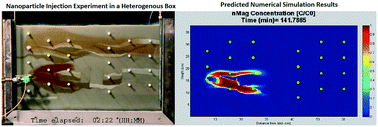 Graphical abstract: Development and experimental evaluation of a mathematical model to predict polymer-enhanced nanoparticle mobility in heterogeneous formations