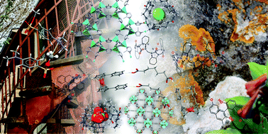 Graphical abstract: Accelerated ageing reactions: towards simpler, solvent-free, low energy chemistry