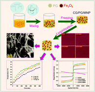 Graphical abstract: Development of Fe3O4 integrated polymer/phosphate glass composite scaffolds for bone tissue engineering