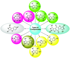 Graphical abstract: Recent developments in the synthesis and applications of furopyrazoles