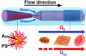 Graphical abstract: Flow hydrodynamics-dependent assembly of polymer-tethered gold nanoparticles in microfluidic channels