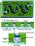 Graphical abstract: Cost-effective smart microfluidic device with immobilized silver nanoparticles and embedded UV-light sources for synergistic water disinfection effects