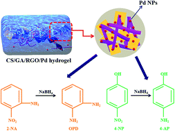 Graphical abstract: Fabrication of CS/GA/RGO/Pd composite hydrogels for highly efficient catalytic reduction of organic pollutants