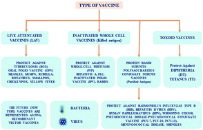 Graphical abstract: A comprehensive overview of vaccines developed for pandemic viral pathogens over the past two decades including those in clinical trials for the current novel SARS-CoV-2