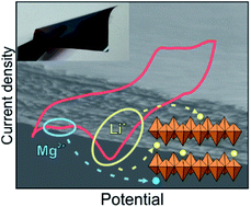 Graphical abstract: Self-supporting V2O5 nanofiber-based electrodes for magnesium–lithium-ion hybrid batteries