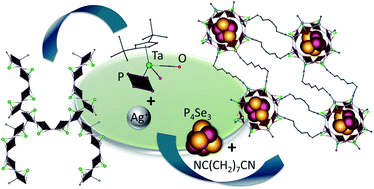 Graphical abstract: Use of a cyclo-P4 building block – a way to networks of host–guest assemblies