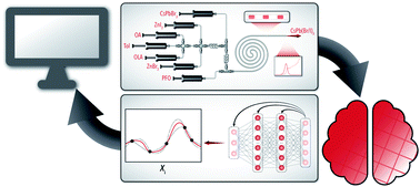 Graphical abstract: Accelerated AI development for autonomous materials synthesis in flow