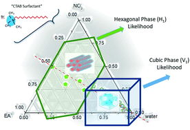 Graphical abstract: Lyotropic liquid crystal phase behavior of a cationic amphiphile in aqueous and non-stoichiometric protic ionic liquid mixtures