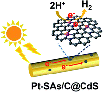 Graphical abstract: Electrochemical conversion of bulk platinum into platinum single-atom sites for the hydrogen evolution reaction