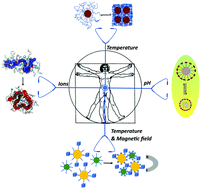 Graphical abstract: Responsive polymers for medical diagnostics