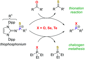 Graphical abstract: Lewis base-free thiophosphonium ion: a cationic sulfur atom transfer reagent