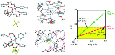 Graphical abstract: Further investigations of the crystal-to-crystal phase transition of a [2]pseudorotaxane composed of ferrocene-terminated dialkylammonium and dibenzo[24]crown-8-ether