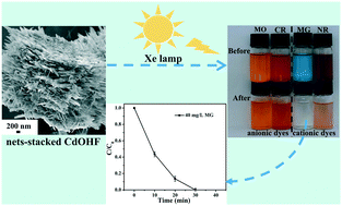 Graphical abstract: Net-stacked hierarchical CdOHF architectures: controllable synthesis and visible-light driven photocatalytic performance