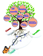 Graphical abstract: Phenothiazine functional materials for organic optoelectronic applications