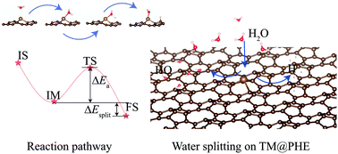 Graphical abstract: Theoretical insights into TM@PHEs as single-atom catalysts for water splitting based on density functional theory