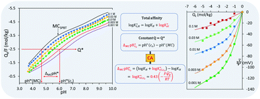 Graphical abstract: Proton binding to humic nano particles: electrostatic interaction and the condensation approximation