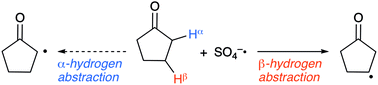 Graphical abstract: A computational study of site-selective hydrogen abstraction by sulfate radical anion