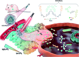 Graphical abstract: A light-controlled multi-step drug release nanosystem targeting tumor hypoxia for synergistic cancer therapy