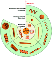 Graphical abstract: Hierarchical self-assembly into chiral nanostructures