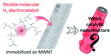 Graphical abstract: How do H2 oxidation molecular catalysts assemble onto carbon nanotube electrodes? A crosstalk between electrochemical and multi-physical characterization techniques